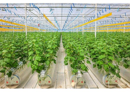 CO2 monitor for grow tent