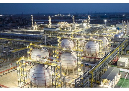 Natural gas monitor